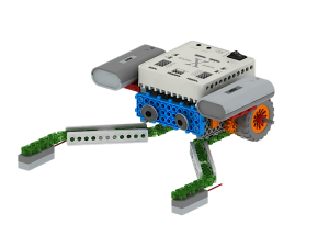 MRT 401 – 401Hemiptera19.png